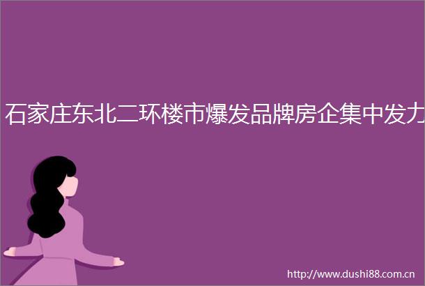 石家庄东北二环楼市爆发品牌房企集中发力
