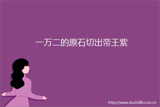 一万二的原石切出帝王紫