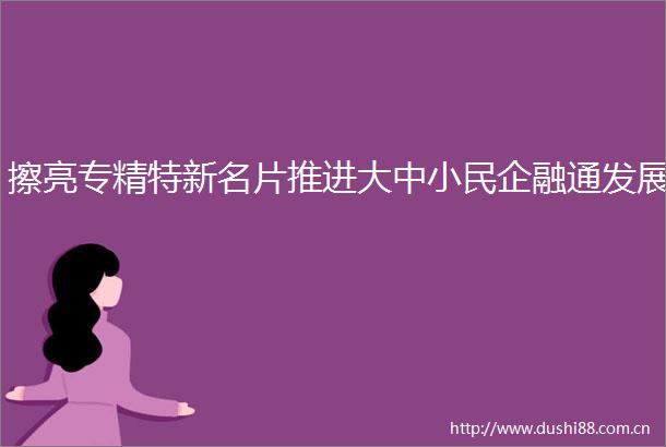 擦亮专精特新名片推进大中小民企融通发展