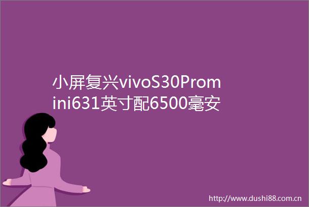 小屏复兴vivoS30Promini631英寸配6500毫安电池你心动了吗