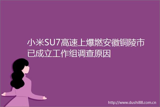 小米SU7高速上爆燃安徽铜陵市已成立工作组调查原因