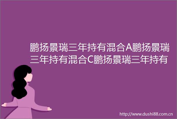 鹏扬景瑞三年持有混合A鹏扬景瑞三年持有混合C鹏扬景瑞三年持有期混合型证券投资基金更新的招募说明书2025年第1号