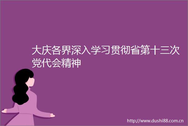大庆各界深入学习贯彻省第十三次党代会精神