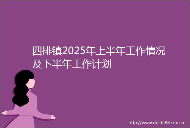 四排镇2025年上半年工作情况及下半年工作计划