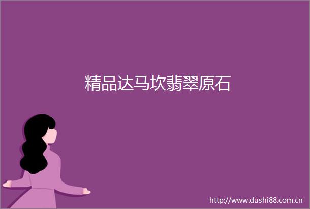 精品达马坎翡翠原石