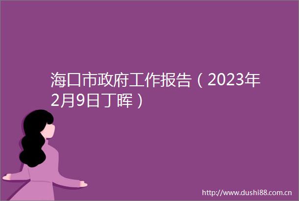 海口市工作报告（2023年2月9日丁晖）