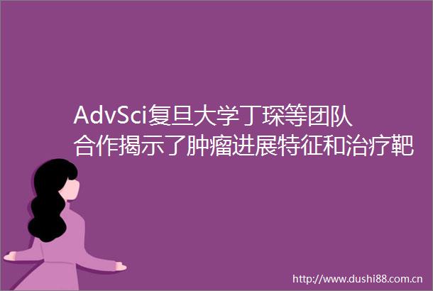 AdvSci复旦大学丁琛等团队合作揭示了肿瘤进展特征和治疗靶点