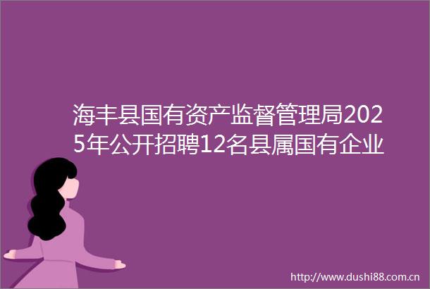 海丰县国有资产监督管理局2025年公开招聘12名县属国有企业工作人员面试公告