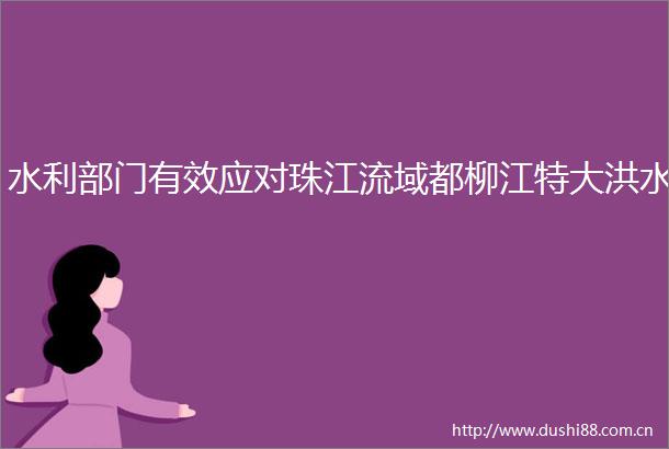 水利部门有效应对珠江流域都柳江特大洪水