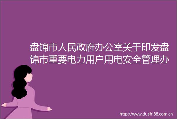 盘锦市办公室关于印发盘锦市重要电力用户用电安全管理办法的通知