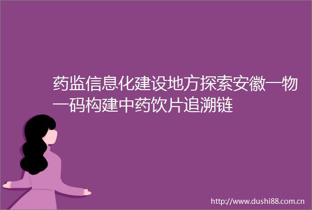 药监信息化建设地方探索安徽一物一码构建中药饮片追溯链