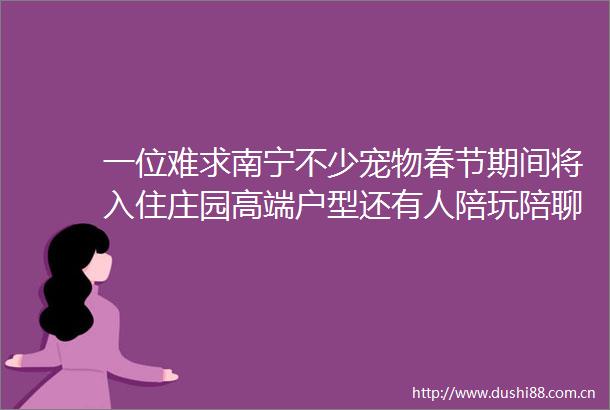 一位难求南宁不少宠物春节期间将入住庄园高端户型还有人陪玩陪聊