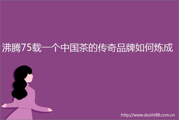 沸腾75载一个茶的传奇品牌如何炼成