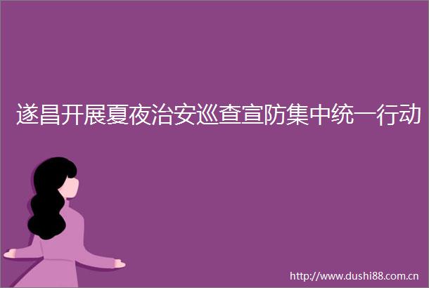 遂昌开展夏夜治安巡查宣防集中统一行动