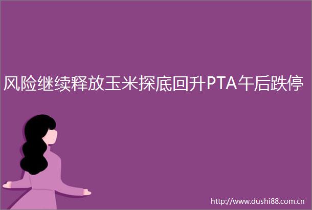风险继续释放玉米探底回升PTA午后跌停