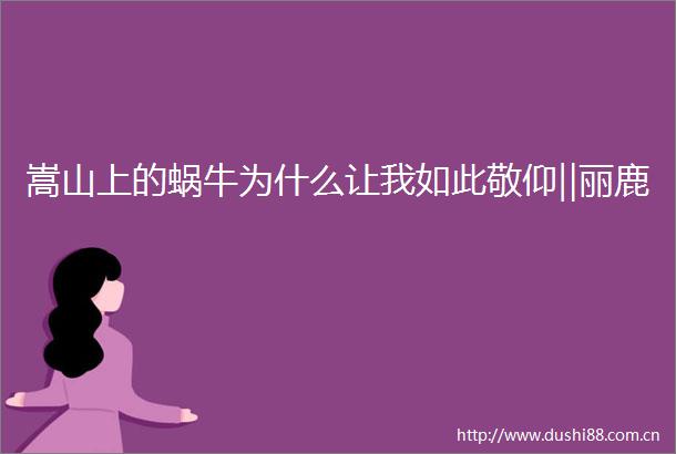 嵩山上的蜗牛为什么让我如此敬仰‖丽鹿