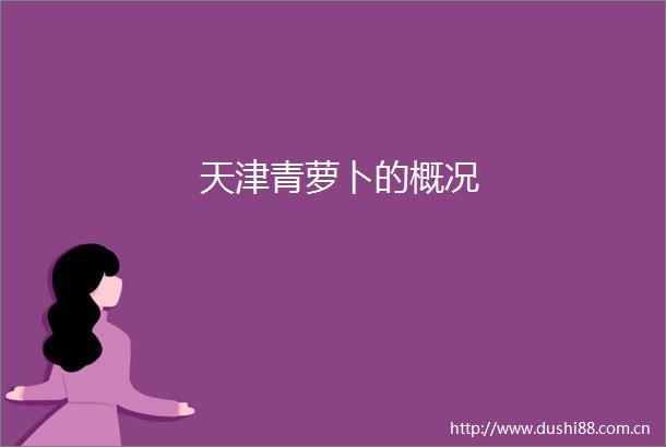 天津青萝卜的概况