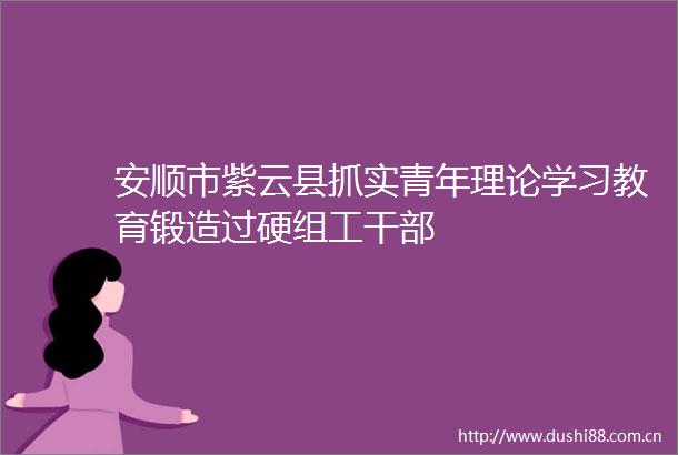 安顺市紫云县抓实青年理论学习教育锻造过硬组工