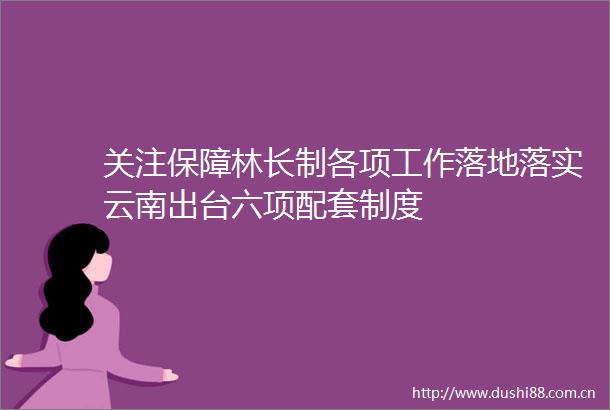 关注保障林长制各项工作落地落实云南出台六项配套制度