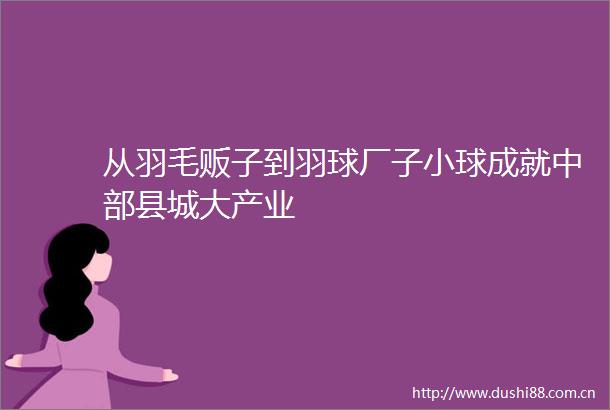 从羽毛贩子到羽球厂子小球成就中部县城大产业