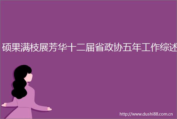 硕果满枝展芳华十二届省政协五年工作综述
