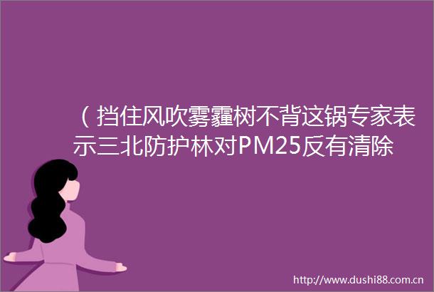 （挡住风吹雾霾树不背这锅专家表示三北防护林对PM25反有清除作用）