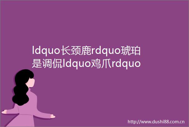 ldquo长颈鹿rdquo琥珀是调侃ldquo鸡爪rdquo琥珀却是真的1617期