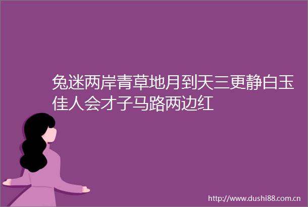 兔迷两岸青草地月到天三更静白玉佳人会才子马路两边红