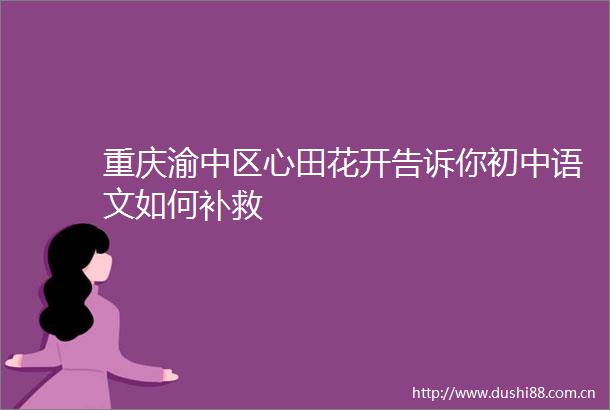 重庆渝中区心田花开告诉你初中语文如何补救