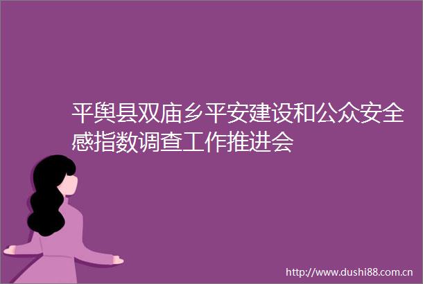 平舆县双庙乡平安建设和公众安全感指数调查工作推进会
