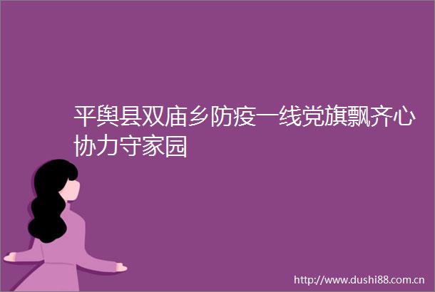 平舆县双庙乡防疫一线党旗飘齐心协力守家园