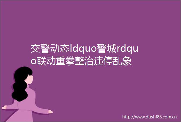 动态ldquo警城rdquo联动重拳整治违停乱象