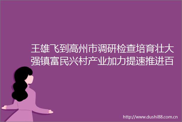王雄飞到高州市调研检查培育壮大强镇富民兴村产业加力提速推进百千万工程