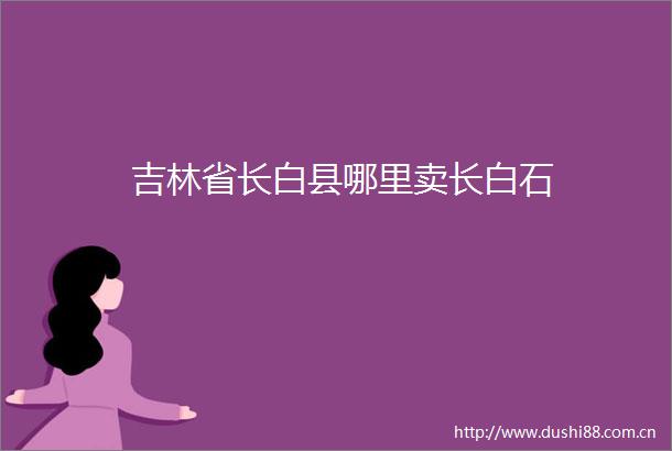 吉林省长白县哪里卖长白石