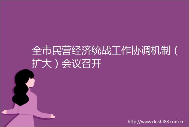 全市民营经济统战工作协调机制（扩大）会议召开
