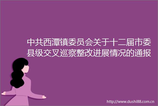 西潭镇委员会关于十二届市委县级交叉巡察整改进展情况的通报