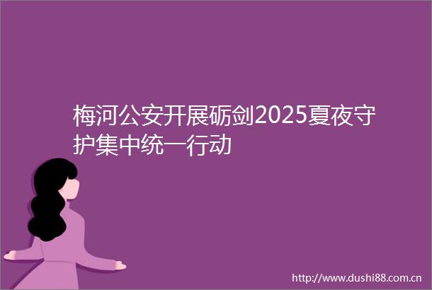 梅河开展砺剑2025夏夜守护集中统一行动
