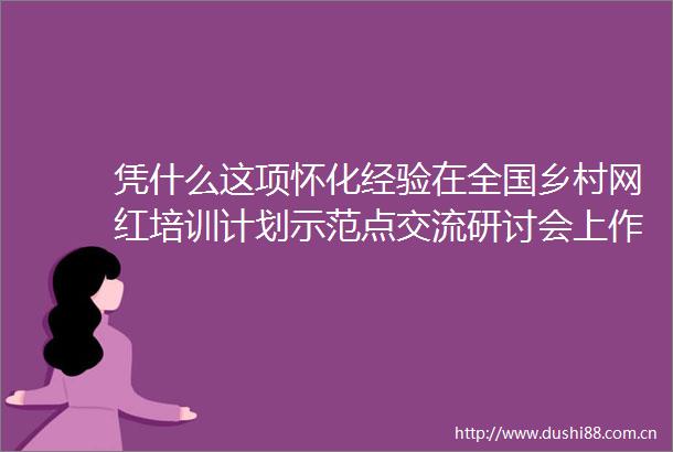 凭什么这项怀化经验在全国乡村网红培训计划示范点交流研讨会上作典型发言