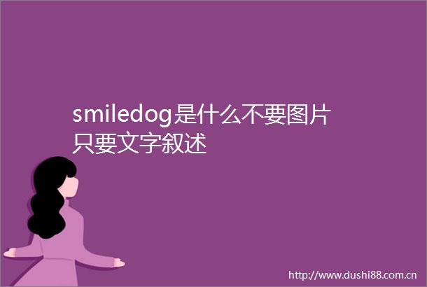 smiledog是什么不要图片只要文字叙述