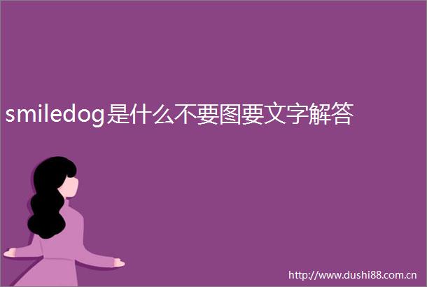 smiledog是什么不要图要文字解答