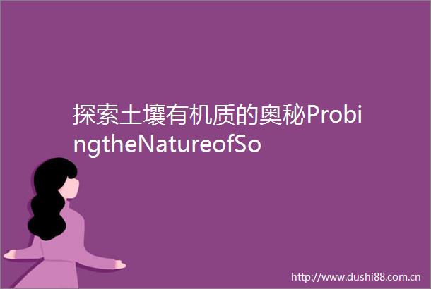 探索土壤有机质的奥秘ProbingtheNatureofSoilOrganicMatter