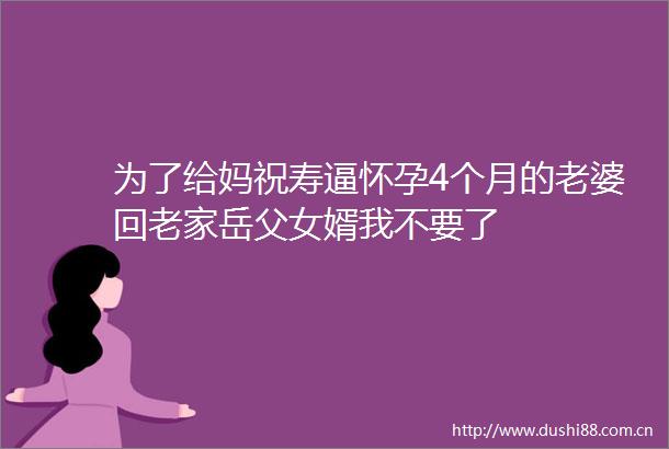 为了给妈祝寿逼怀孕4个月的老婆回老家岳父女婿我不要了
