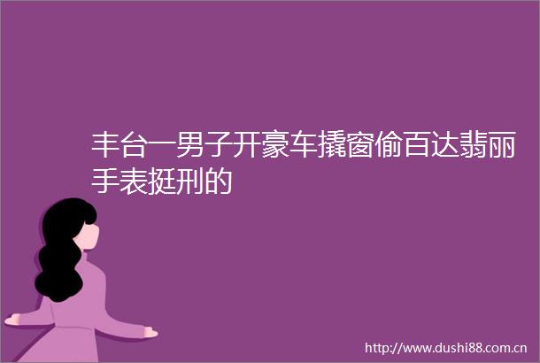 丰台一男子开豪车撬窗偷百达翡丽手表挺刑的