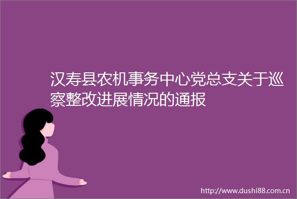 汉寿县农机事务中心党总支关于巡察整改进展情况的通报