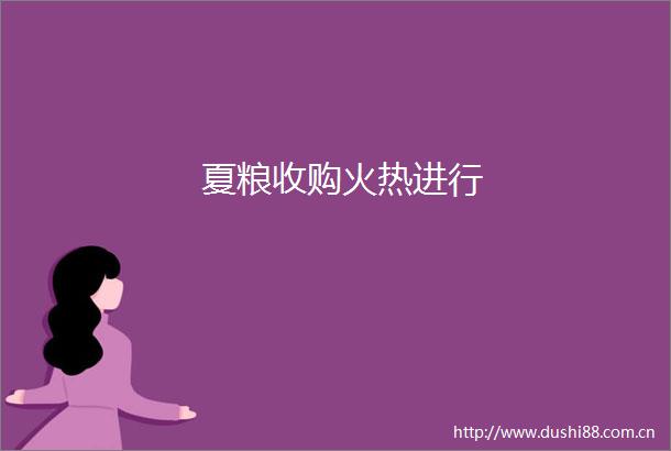 夏粮收购火热进行