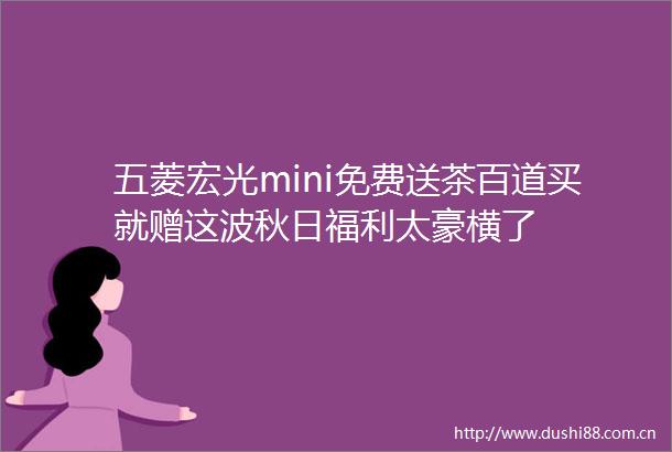 五菱宏光mini免费送茶百道买就赠这波秋日福利太豪横了