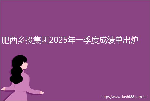 肥西乡投集团2025年一季度成绩单出炉