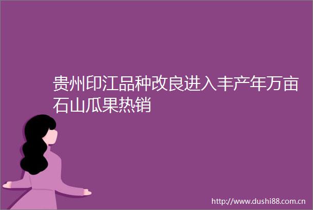 贵州印江品种改良进入丰产年万亩石山瓜果热销