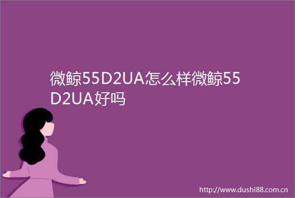 微鲸55D2UA怎么样微鲸55D2UA好吗