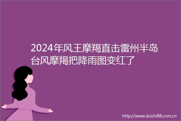 2024年风王摩羯直击雷州半岛台风摩羯把降雨图变红了